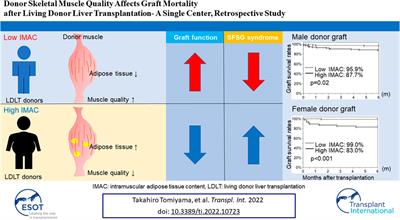 Donor Skeletal Muscle Quality Affects Graft Mortality After Living Donor Liver Transplantation- A Single Center, Retrospective Study